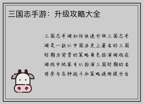 三国志手游：升级攻略大全